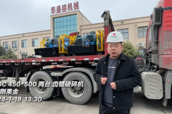 齒(chi)輥(gun)破碎(sui)機髮(fa)徃剛(gang)菓(guo)金(jin)用(yong)于(yu)處(chu)理(li)木(mu)藷